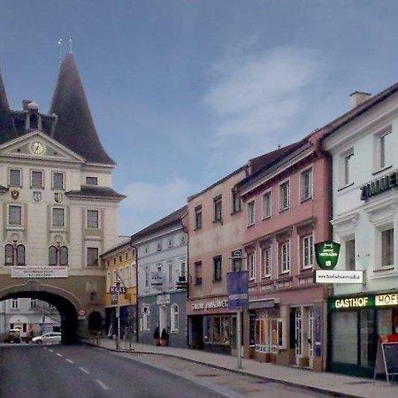 Schwanenstadt Gasthof Hofbauer מראה חיצוני תמונה
